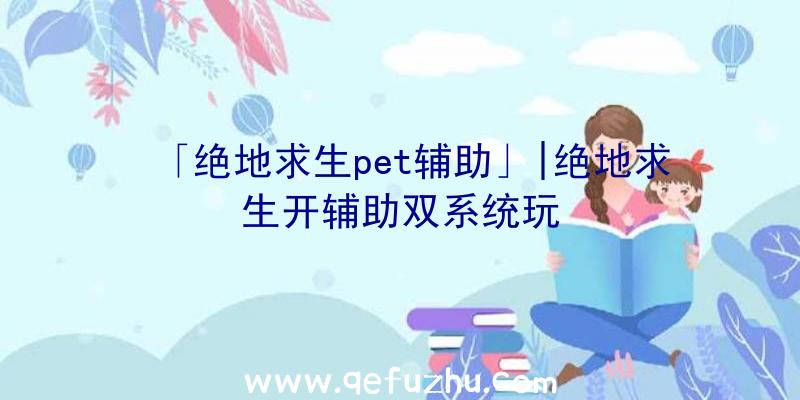 「绝地求生pet辅助」|绝地求生开辅助双系统玩